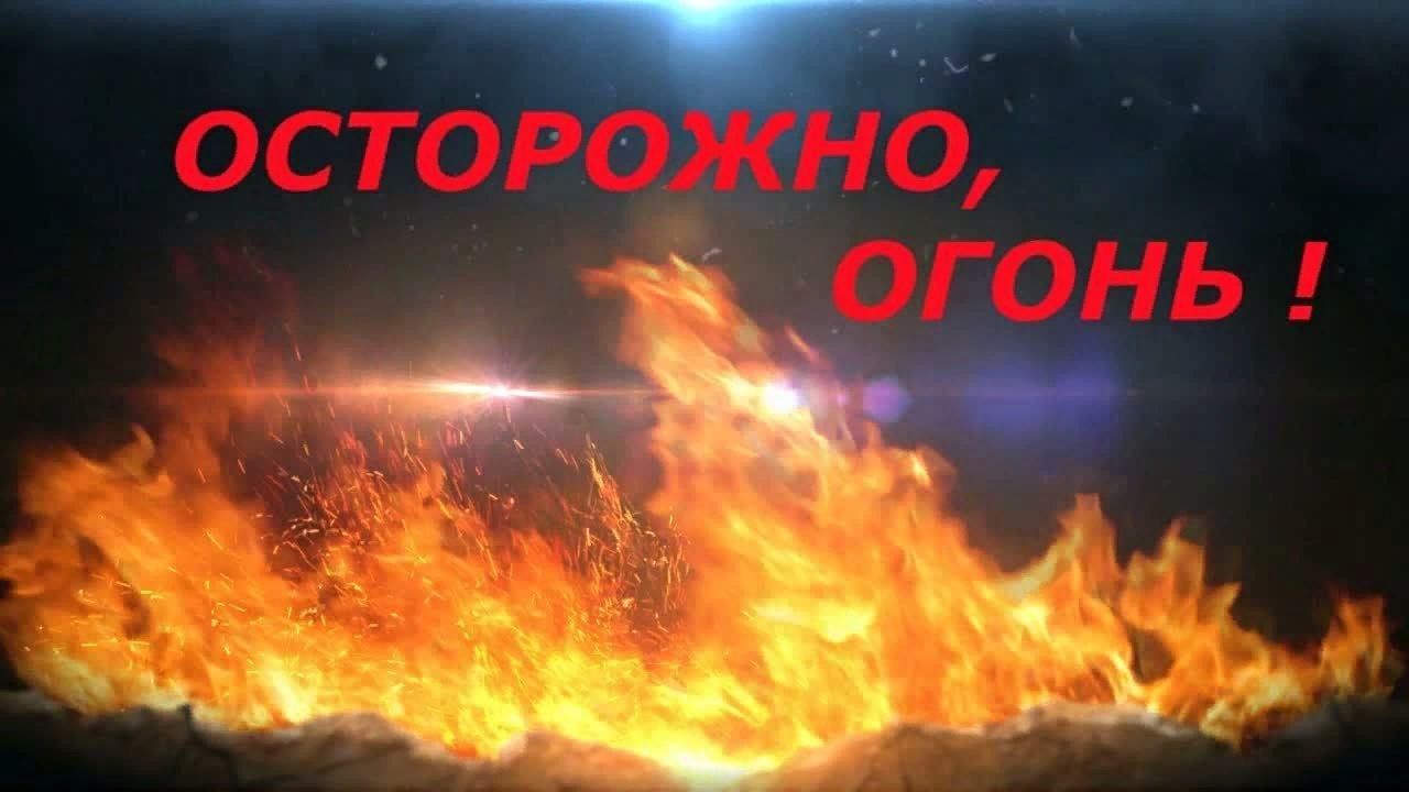 3c4eb25e-18b4-51f3-875c-1c464b1d3d3b.jpg